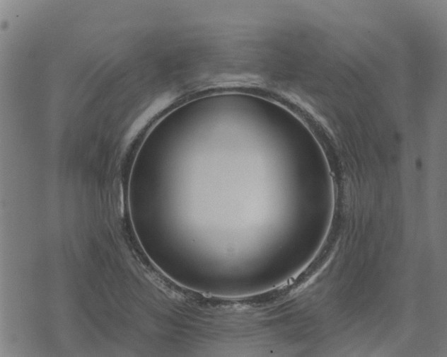 X0000074941317200609081341