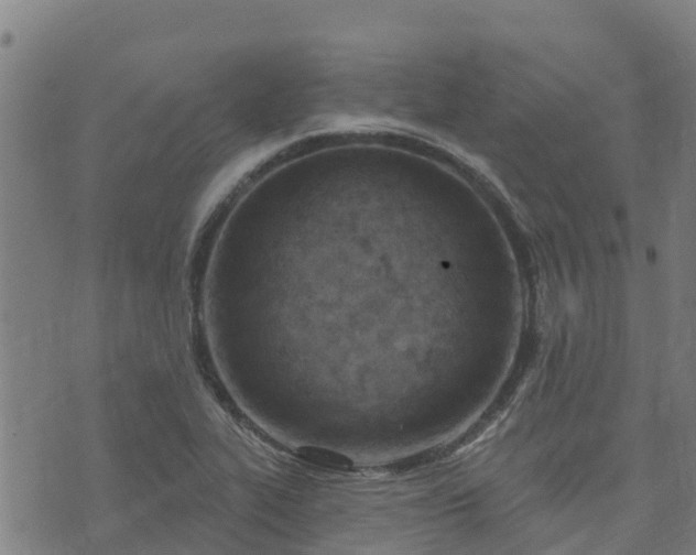 X0000074941319200609081341