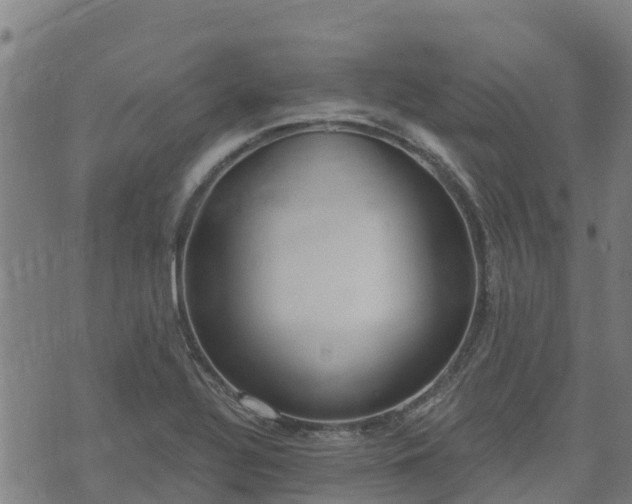 X0000074941320200609081341