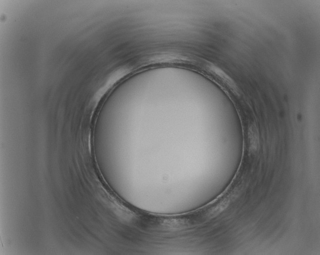 X0000074941322200609081341