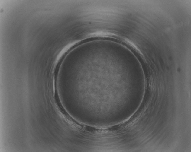 X0000074941323200609081341