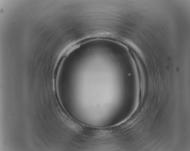 X0000074941324200609081341