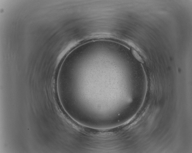 X0000074941325200609081341