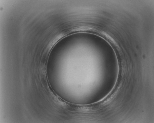 X0000074941329200609081341