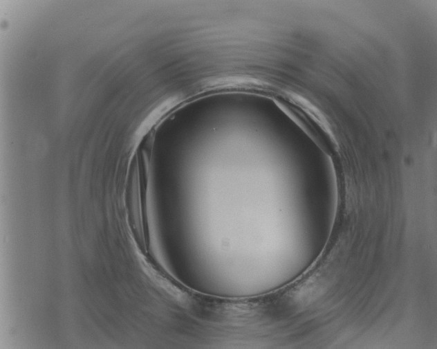 X0000074941330200609081341