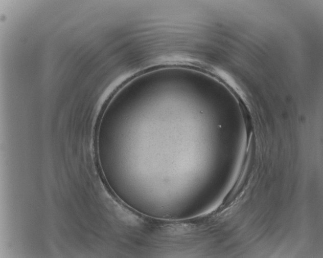 X0000074941331200609081341