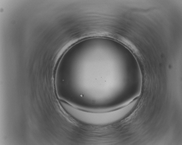 X0000074941332200609081341