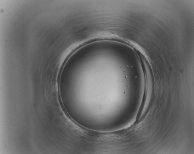 X0000074941335200609081341