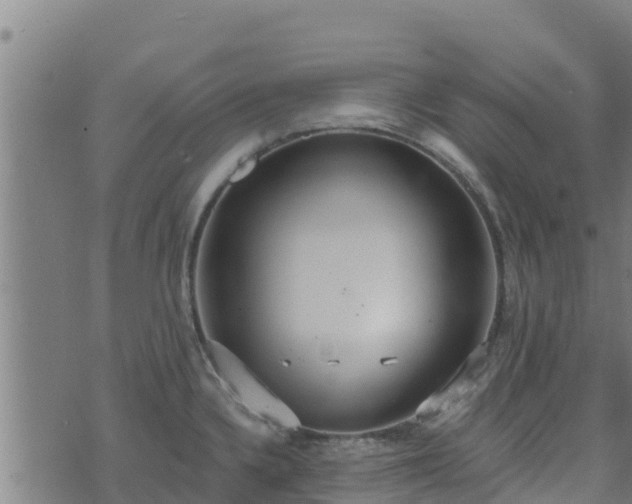 X0000074941336200609081341