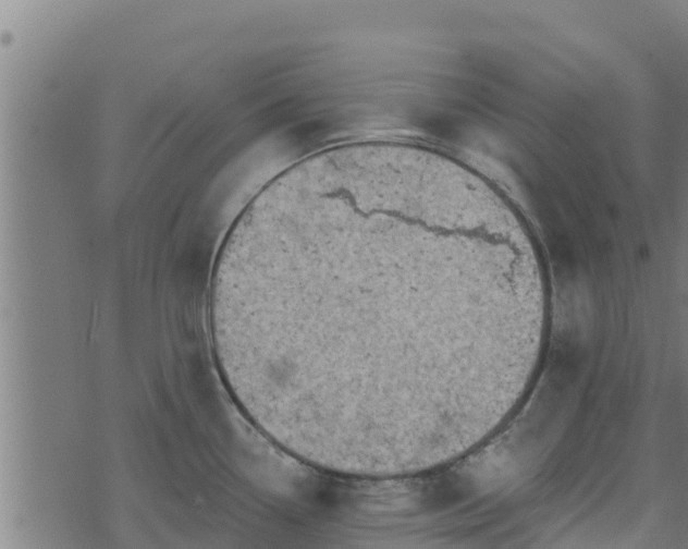 X0000074941338200609081341