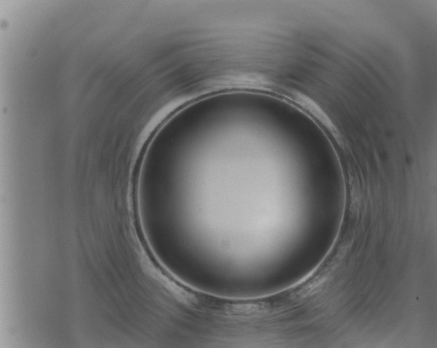 X0000074941339200609081341