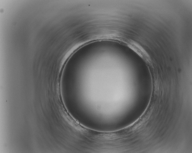 X0000074941340200609081341