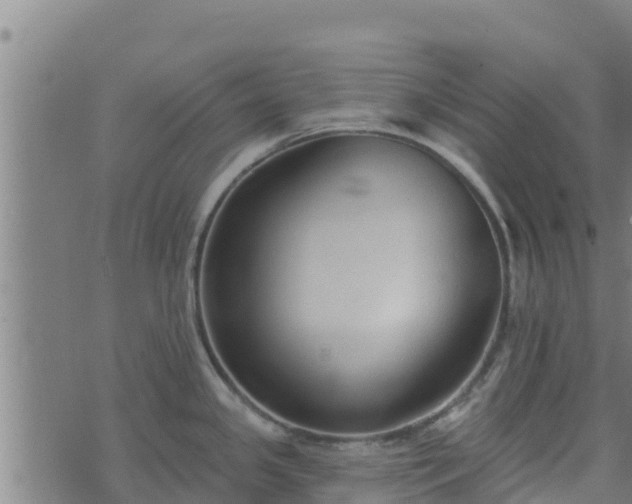 X0000074941341200609081341