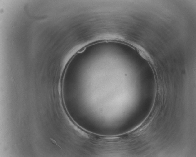 X0000074941343200609081341