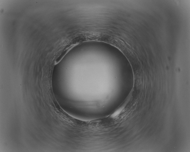 X0000074941345200609081340