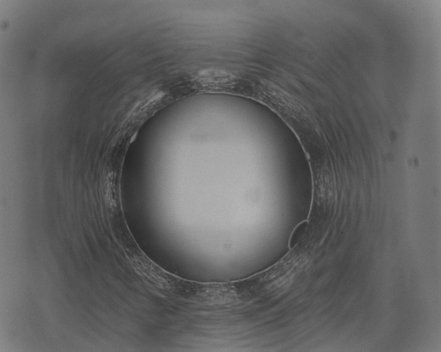 X0000074941346200609081340