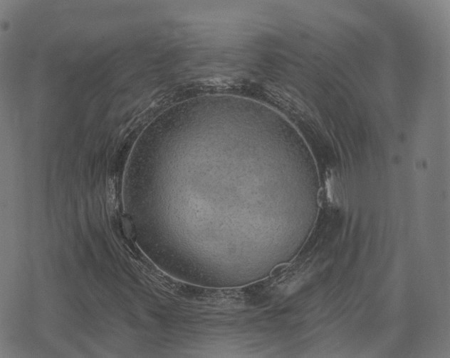 X0000074941347200609081340