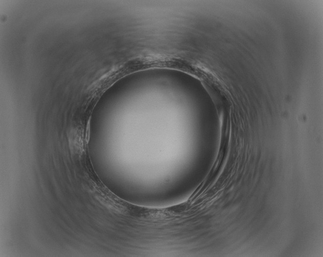 X0000074941348200609081340