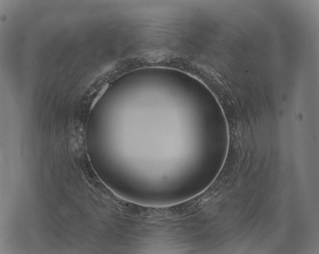 X0000074941349200609081340