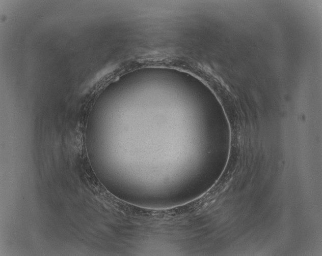 X0000074941350200609081340