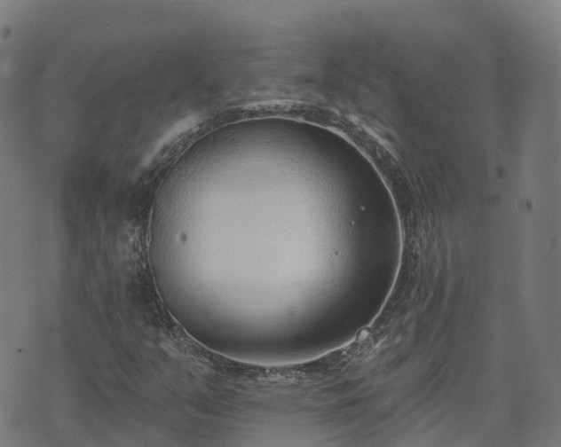 X0000074941351200609081340