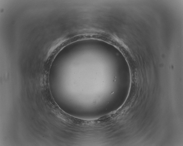 X0000074941352200609081340