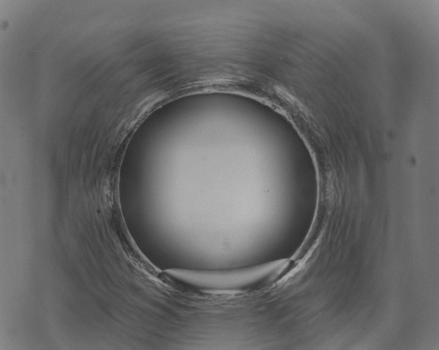 X0000074941353200609081340