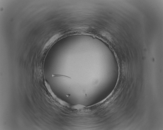 X0000074941354200609081340