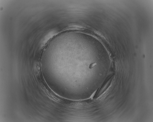 X0000074941355200609081340