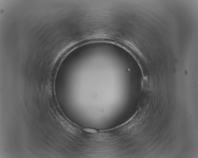 X0000074941356200609081340