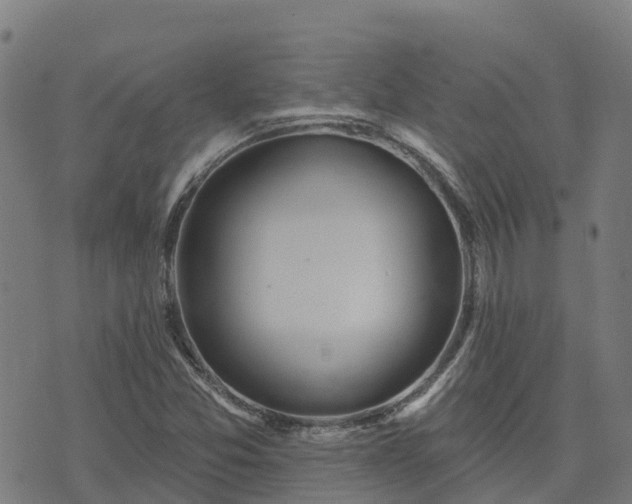 X0000074941357200609081340