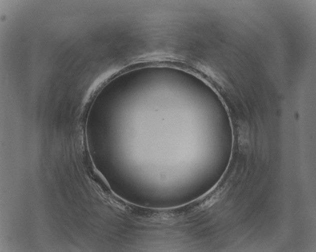 X0000074941358200609081340