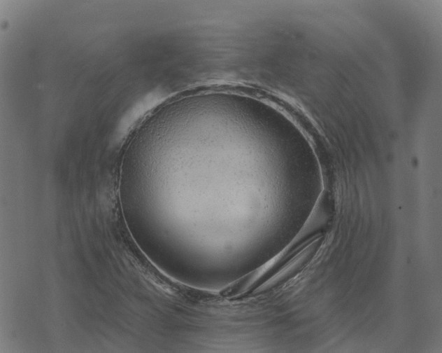 X0000074941359200609081340