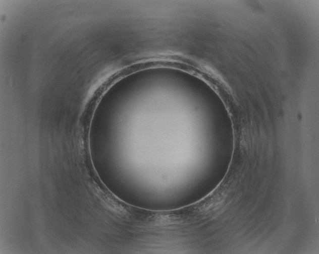 X0000074941360200609081340