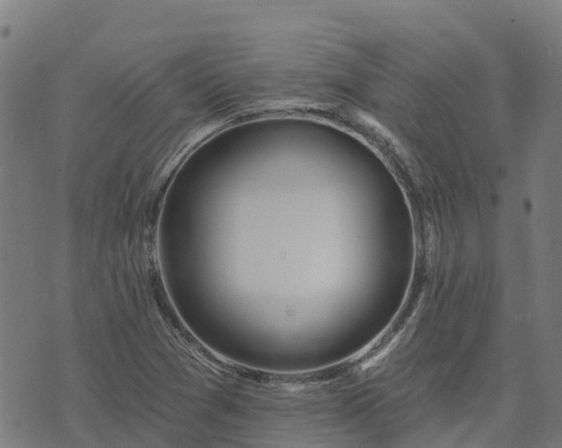 X0000074941361200609081340