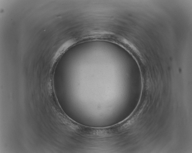 X0000074941362200609081340