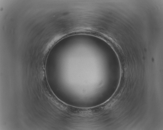 X0000074941363200609081340