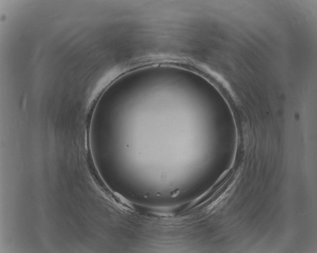 X0000074941365200609081340