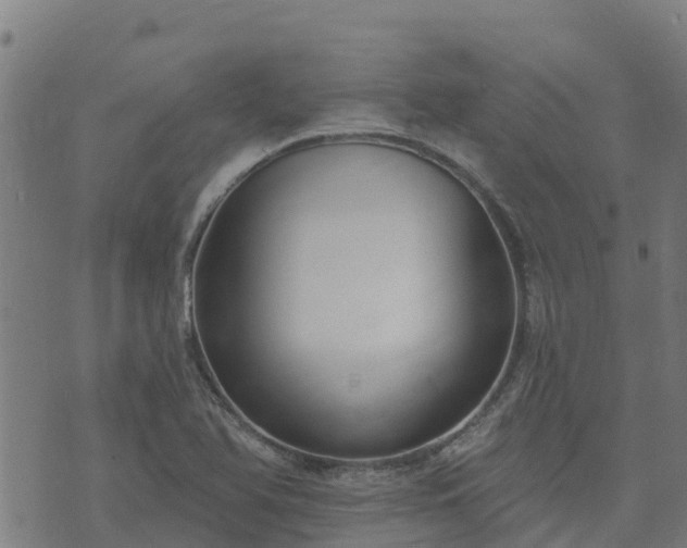 X0000074941366200609081340