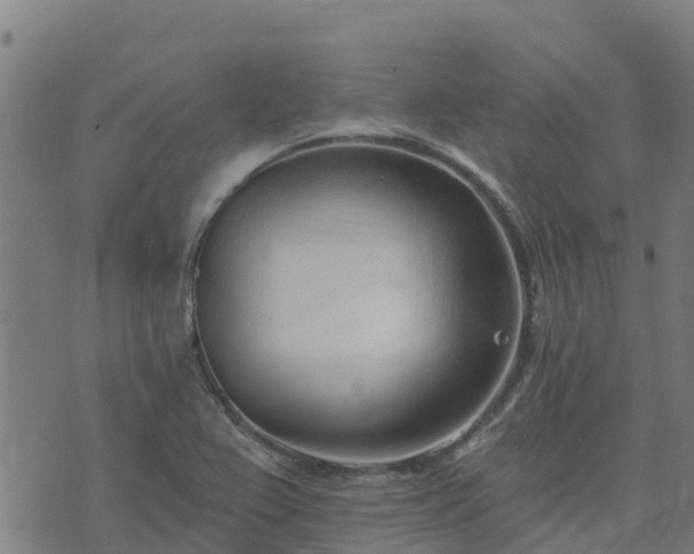 X0000074941367200609081340