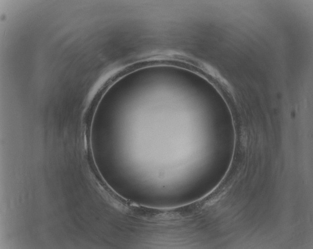 X0000074941368200609081340