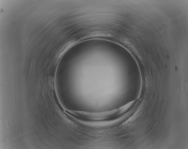 X0000074941369200609081340