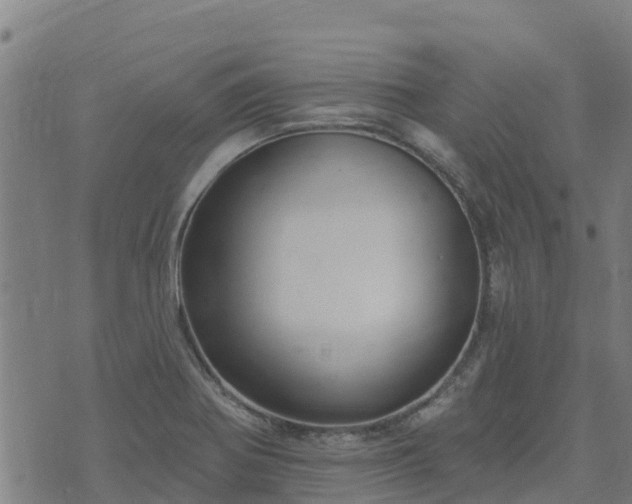 X0000074941370200609081340