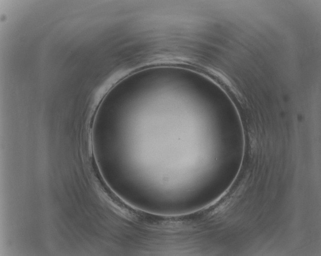 X0000074941371200609081340