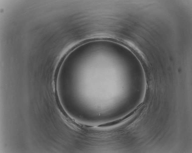 X0000074941372200609081340