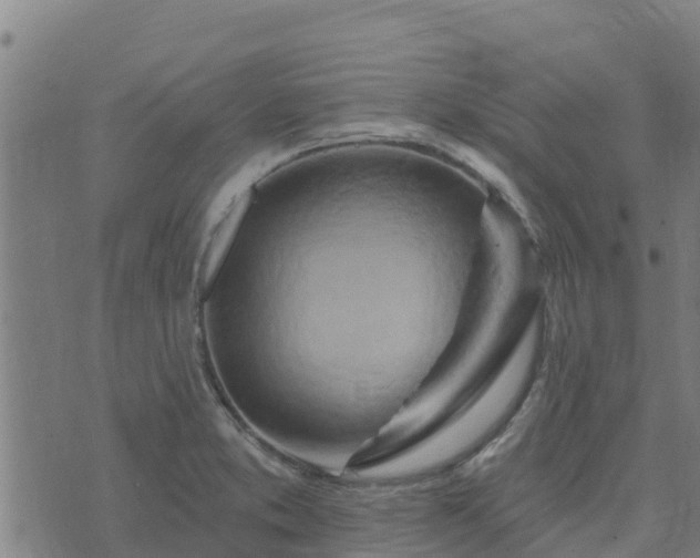 X0000074941373200609081340