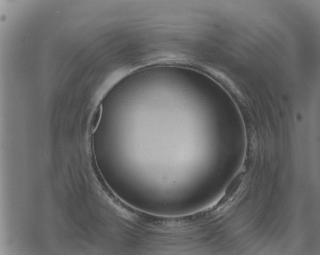 X0000074941375200609081340