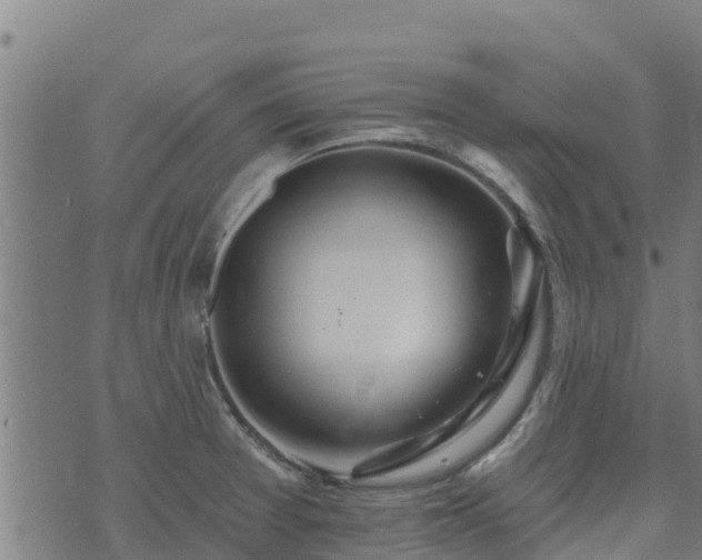 X0000074941377200609081340