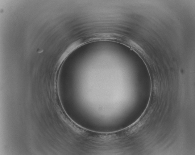 X0000074941378200609081340