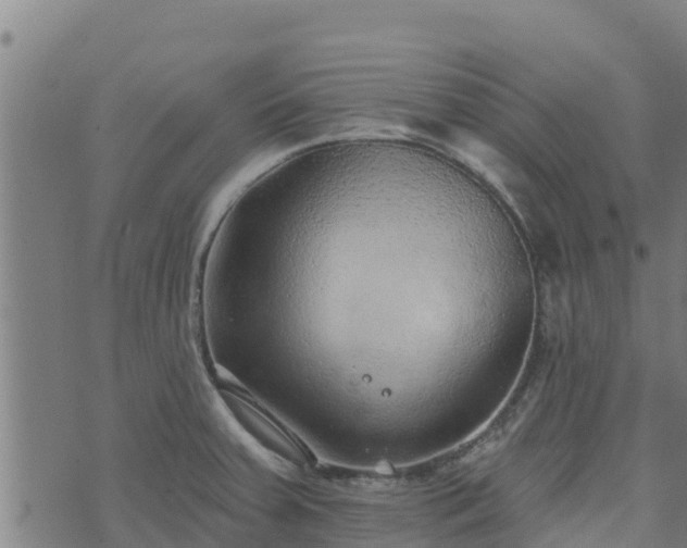 X0000074941379200609081340